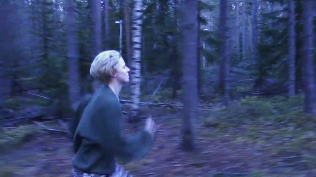 APH [CMV] - Die Mauer