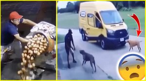 ПЛОХОЙ ДЕНЬ НА РАБОТЕ №20 | ЛУЧШЕ БЫ ОНИ ПРОВЕЛИ ЭТОТ ДЕНЬ ДОМА