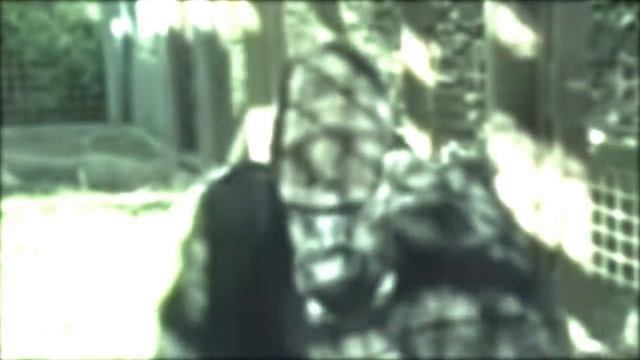 Gorilla Learns Sign Language and Reveals what Poachers did to Family - The Story of Michael смотреть онлайн