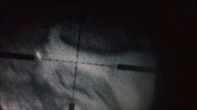 ОХОТА С САМОДЕЛЬНЫМ НОЧНЫМ ПРИЦЕЛОМ ,,ТЕСТ- 1,, смотреть онлайн