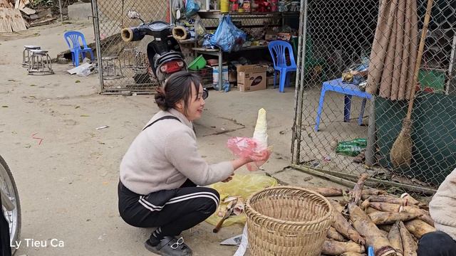 Ly Tieu Ca - Harvesting Sapodillas for Sale & Completing More Chicken Coops смотреть онлайн