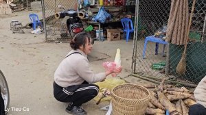 Ly Tieu Ca - Harvesting Sapodillas for Sale & Completing More Chicken Coops