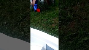 Риб Фортис 430Z обзор