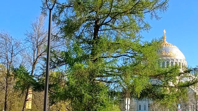 Кронштадт день города смотреть онлайн