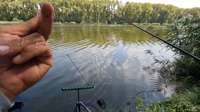 Жара а рыба прёт, тут её много, рыбалка на фидерную снасть поклёвки карася и крупного леща смотреть онлайн