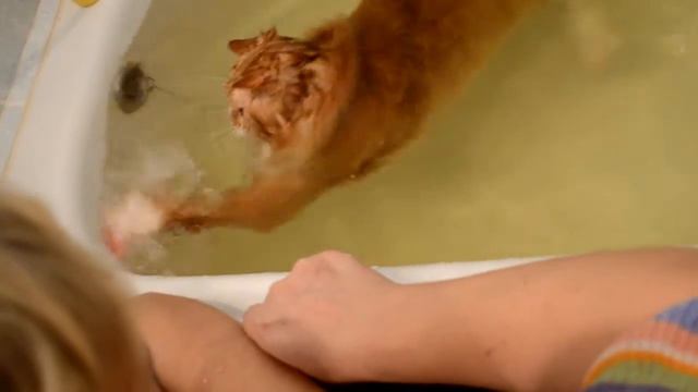 Купаем Сёму! смотреть онлайн