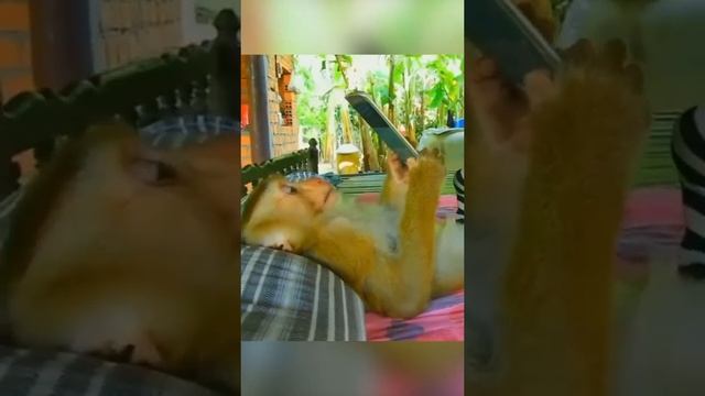 В кайфе смотреть онлайн