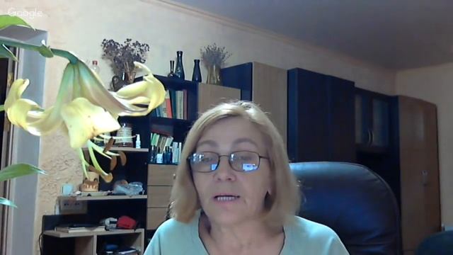 Комнатные растения в нашем интерьере. Прямая трансляция! смотреть онлайн