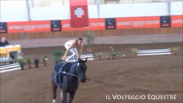 CVI Portogruaro 2016 - Volteggio - Ind 3* - 9° Aurora Palagi [Freestyle] смотреть онлайн