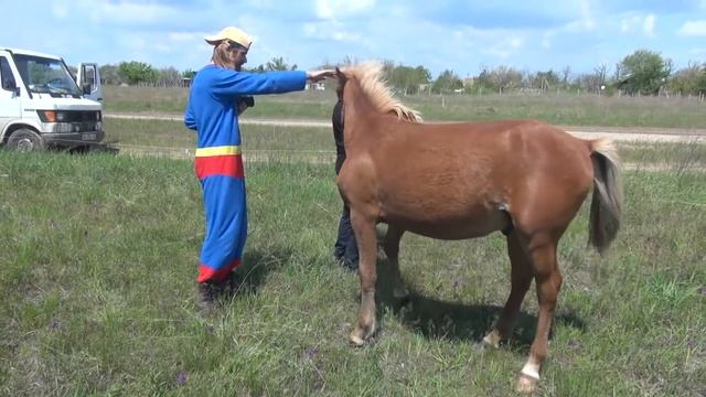 Коса Орхидеи май 2015 смотреть онлайн