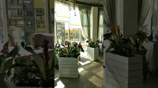 Интерьерное озеленение живыми и искусственными цветами. Отель- спа. г. Краснодар. Ресторан "Небо". смотреть онлайн