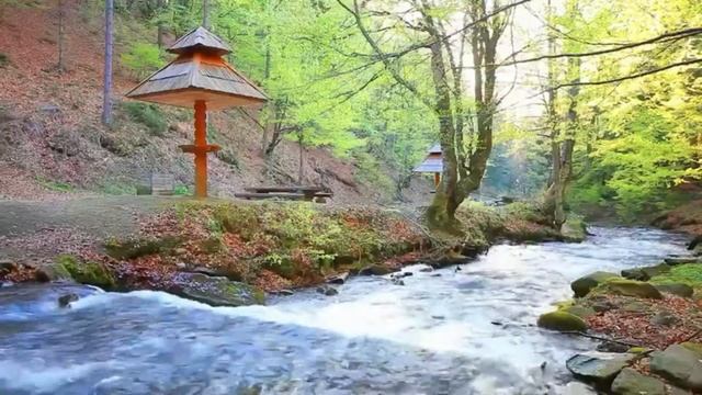 Muzică de Relaxare, Muzică pentru Meditatie, Muzică pentru Somn, Muzică Zen, Energie Pozitivă #2 смотреть онлайн