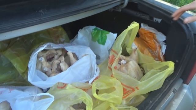 Фермер старт / Едем продавать фермерские продукты смотреть онлайн