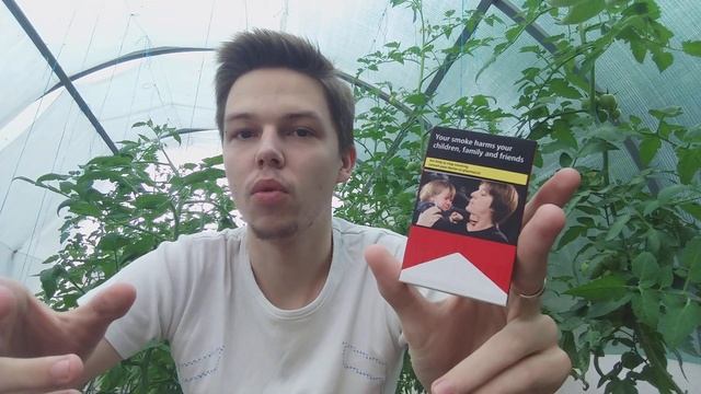 Обзор Marlboro Red / Швейцарский Duty Free