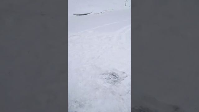 Рыбацкие будни в деле. #Зимняя Рыбалка# 2023 год на СШГЭС. Рыбаки своих не бросают. смотреть онлайн
