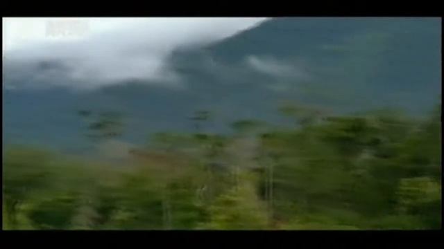 Настоящий гремлин - Animal Planet смотреть онлайн