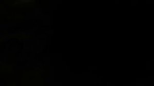 Разведение кроликов в яме 16 день Кролики начали рыть норы Ямное содержание кроликов