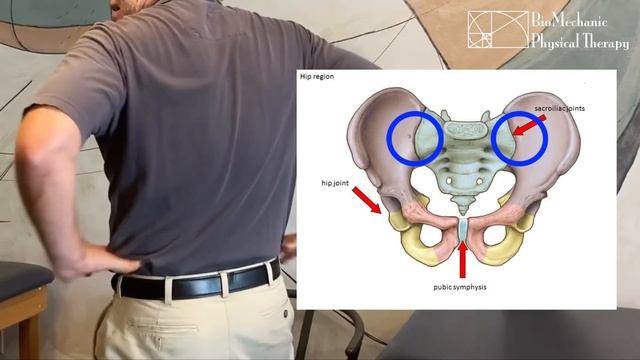 Pre/Post Partum Pain? смотреть онлайн