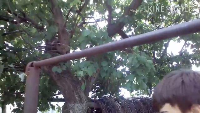 Как правильно одевать лямки на турник смотреть онлайн