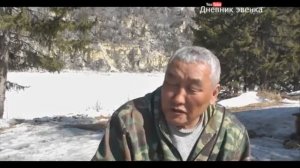 Как мы кушаем мозг и глаза изюбря!!!(Архивное видео)