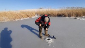 Окуни монстры на жерлицы. Зимняя рыбалка на реке Маныч. Рыбалка 2024...Щука на живца