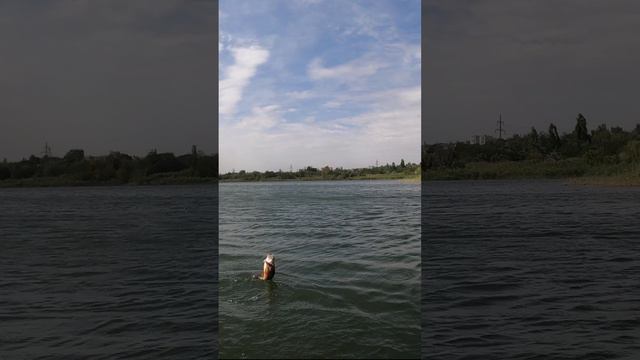 Окунь на 4 дюйма 😉💪 смотреть онлайн