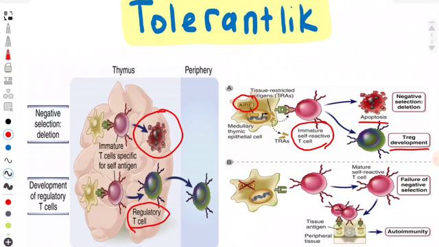 TOLERANTLIK [Self Antigen]