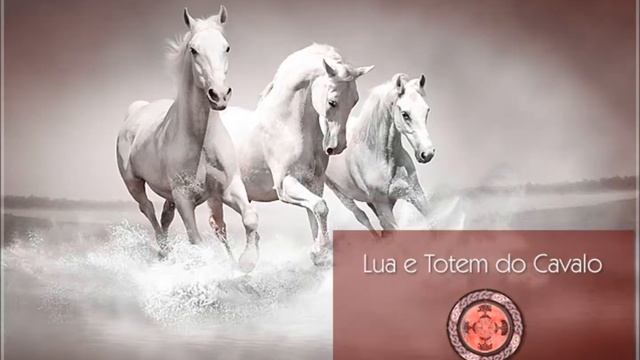 A Jornada do Cavalo смотреть онлайн