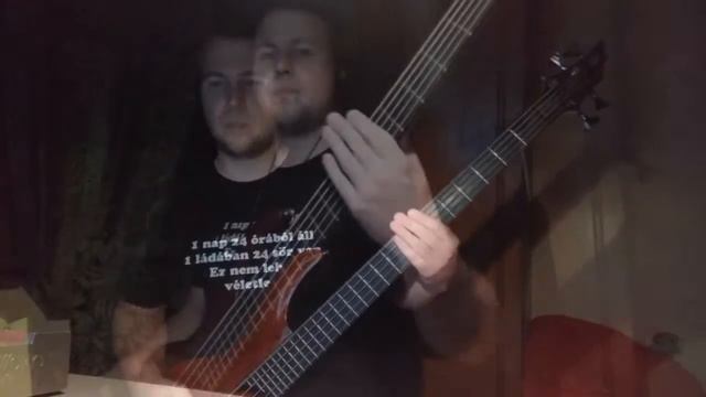 SlipKnot -The heretic anthem - bass cover with backtrack смотреть онлайн