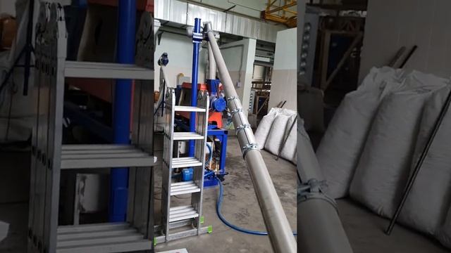 Отжимаем подсолнечное масло на маслопрессе AP-500 часть 1 #shorts смотреть онлайн