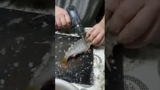 ПРОВЕРКА ЛАЙФХАКА- ЧИСТИМ ОКУНЯ ШУРУПОВЕРТОМ смотреть онлайн