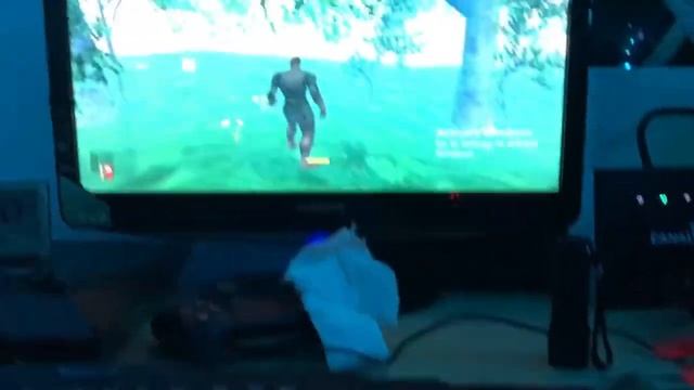 Can The 7300GT Run Valheim?! Yes but No.. смотреть онлайн