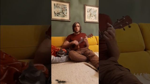 Белый плед, серый КОТ. Звезда по имени солнце на Укулеле смотреть онлайн