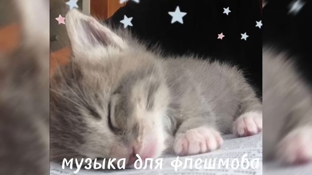 //?музыка для флешмоба?//все песни из тт//английская подборка? смотреть онлайн