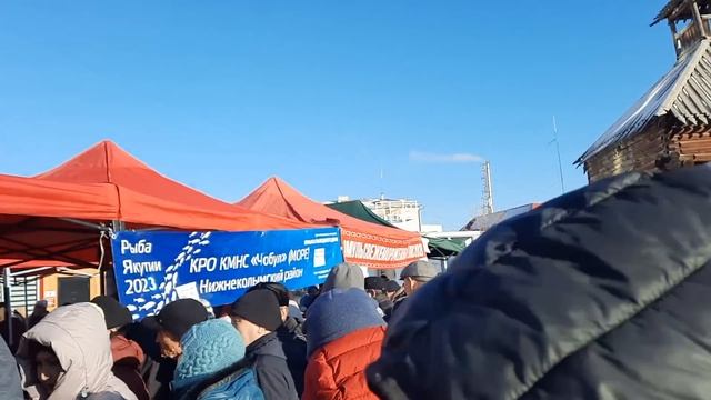 Видео ярмарки "Рыба Якутии" на Малом Базаре г. якутск по ул. Кирова 12/1 28.10.2023 г. смотреть онлайн
