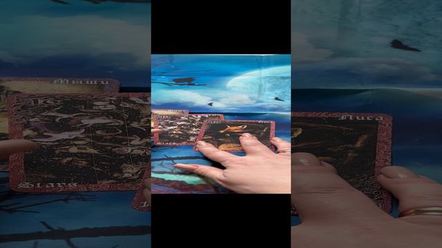 #гадание #вселенная #shortsvideo #картадня #ответтаро #гаданиеленорман #карты #гаданиенакартах