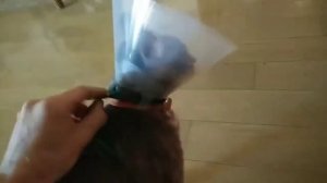 Зафиксировать воротник на кошке.