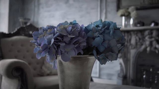 ВЛАД И ДАША - INSTAGRAM 4K смотреть онлайн