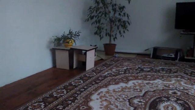 Найди ката 1 часть смотреть онлайн