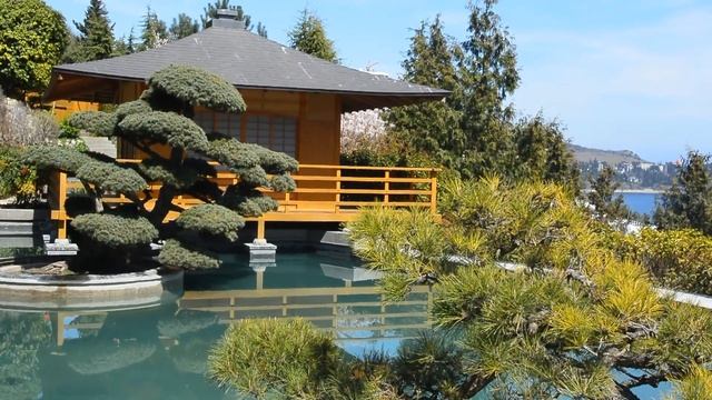 Партенит. Японский сад в парке 