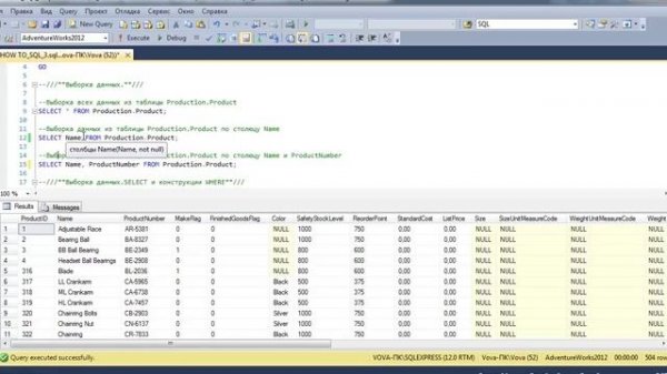 How to SQL Essential.Как использовать запрос SELECT и конструкции WHERE в MS SQL Server 2014?