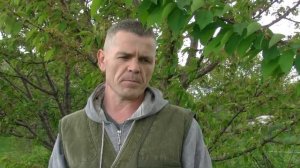 Готовимся обрабатывать черешню от вишнёвой мухи...