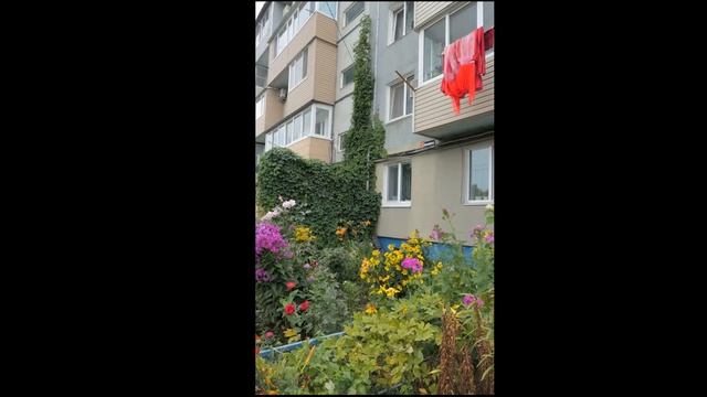 Panasonic fz1000 m2 универсальная камера смотреть онлайн