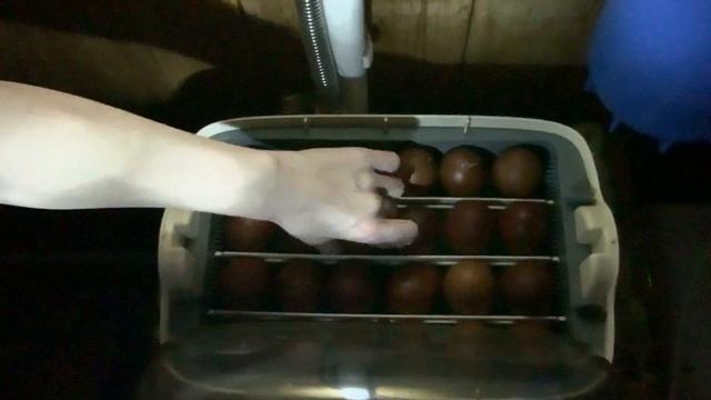 Создание домашней эко-фермы. смотреть онлайн