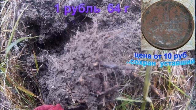 ПОИСК ДЕРЕВНИ 17 ВЕК.Коп с Bounty Hunter Trecker IV.Прогулка в лесу к источнику. смотреть онлайн