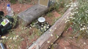 Летняя рыбалка на Братском водохранилище