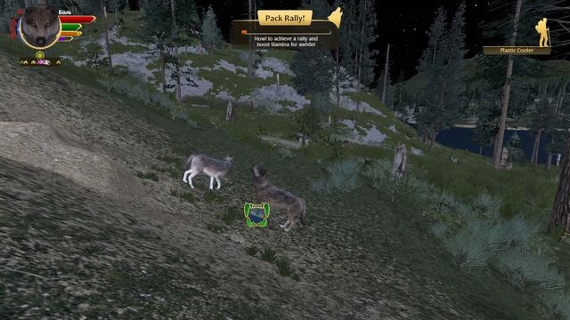 Игра в стае Волков - Играем в WolfQuest: Anniversary Edition смотреть онлайн