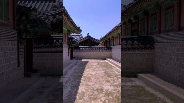 Дворец Кёнбоккун и ханбок-что то на прекрасном ❤️. #корея #сеул смотреть онлайн