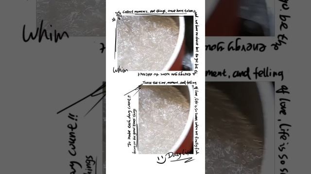 Scallop Pork Dumpling Soup