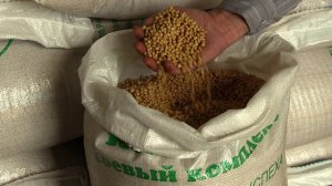 Компания «Соевый комплекс» - семена сои и технологии их выращивания, 2016 год